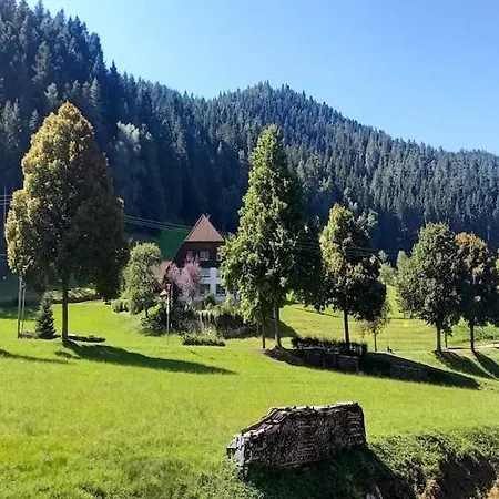 Apartamento In Hornberg Near Triberg Falls *