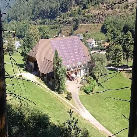 Apartamento In Hornberg Near Triberg Falls