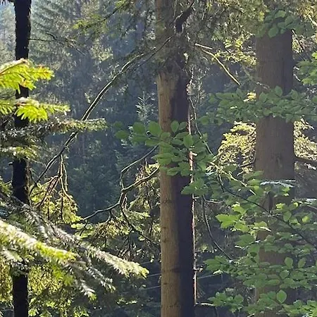 In Hornberg Near Triberg Falls Apartamento