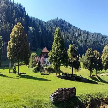 In Hornberg Near Triberg Falls *