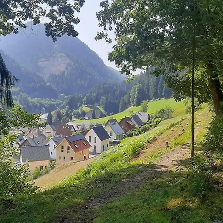 In Hornberg Near Triberg Falls *