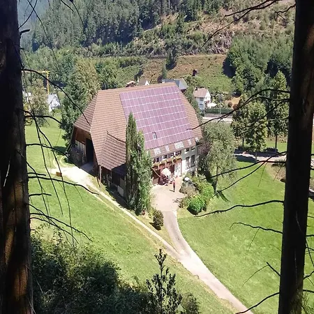 In Hornberg Near Triberg Falls * Niederwasser