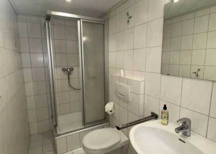 In Hornberg Near Triberg Falls * Niederwasser